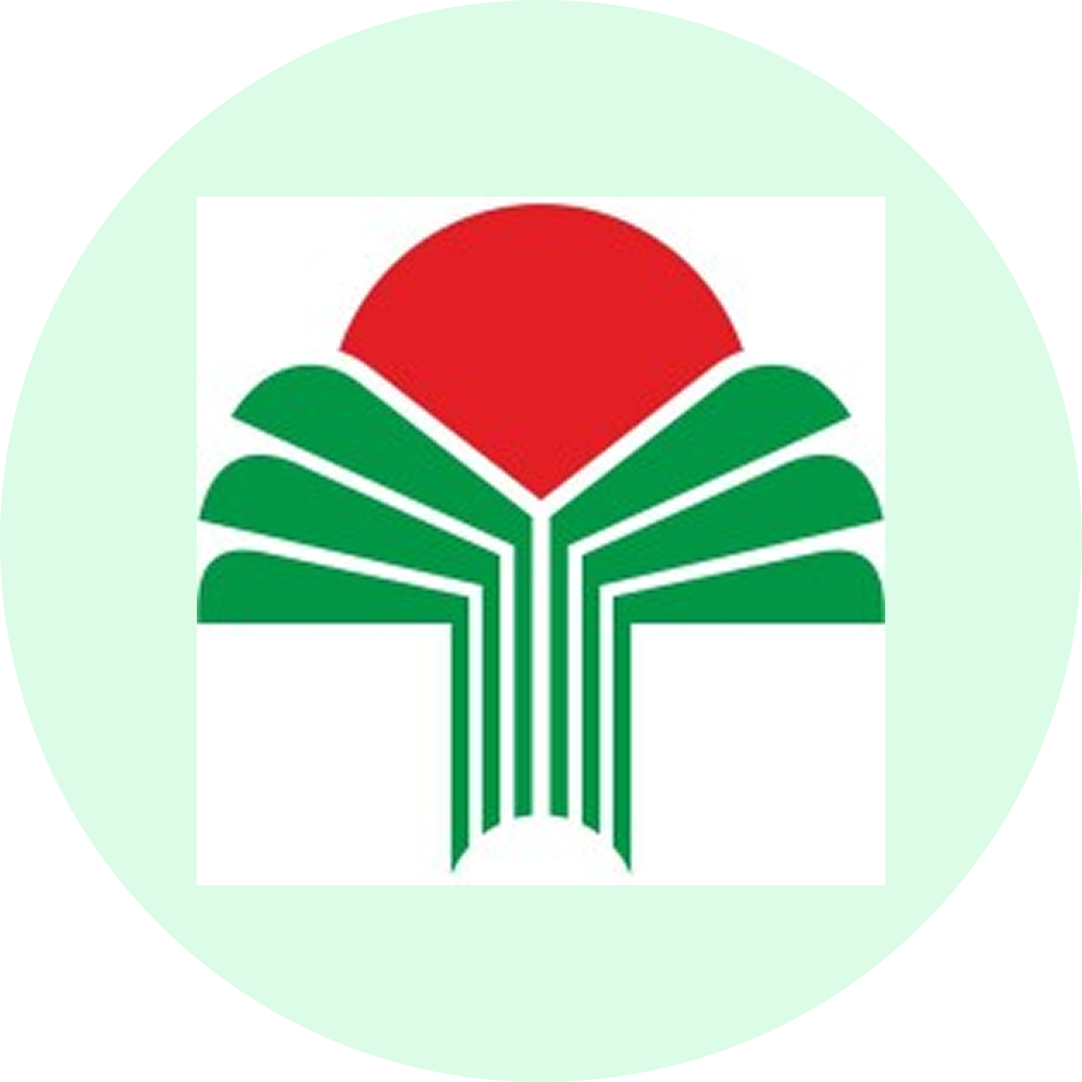 Transfurt logo